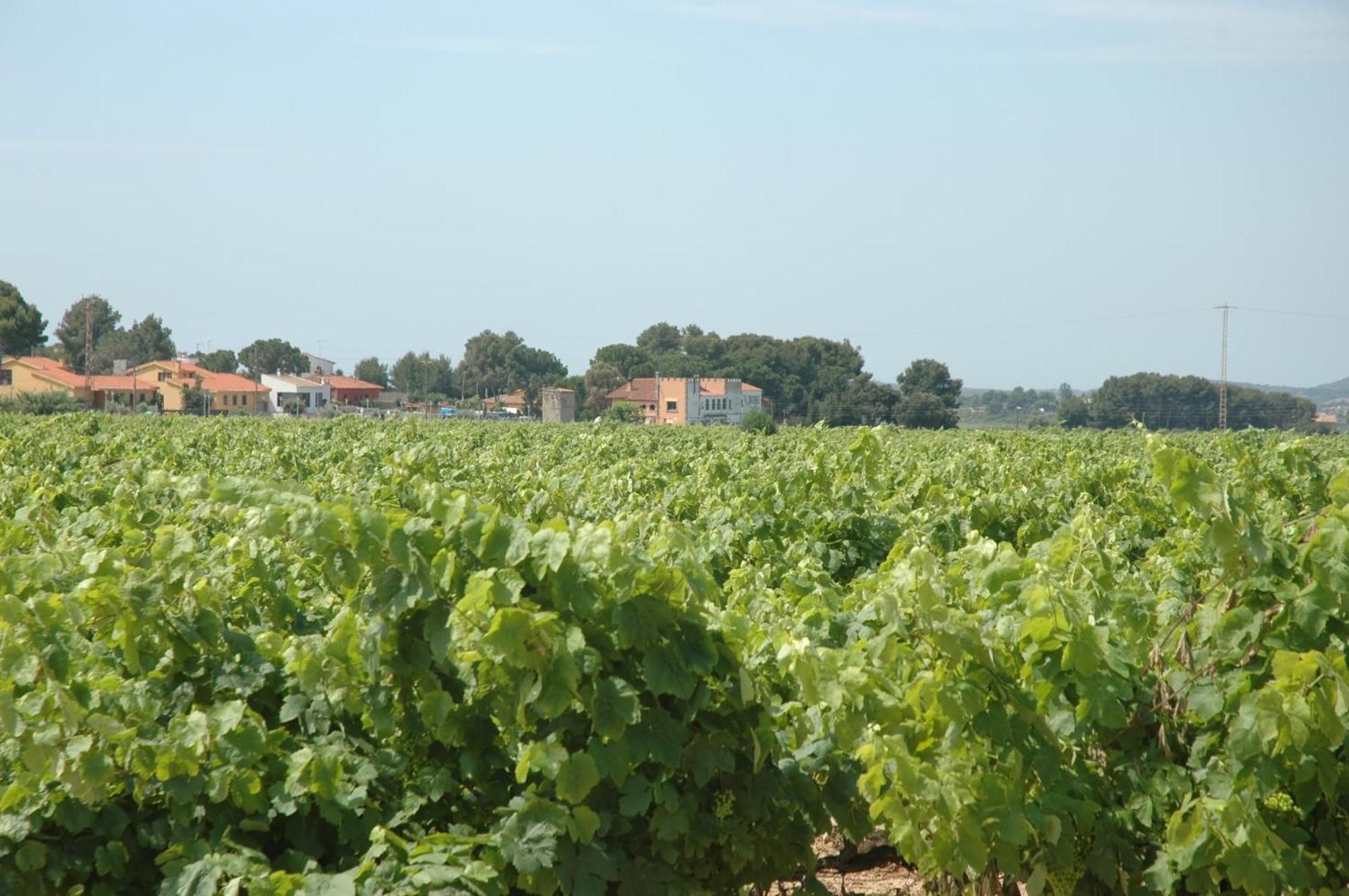 Hotel Restaurant El Bosc Banyeres del Penedes Eksteriør bilde